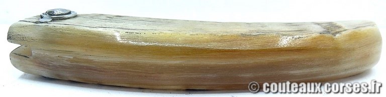 curnicciolu-damas-et-corne-de-belier-LKFDPO807-padovani-12