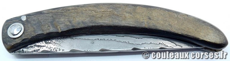 curnicciolu-damas-et-corne-de-belier-CXWP519-padovani-3