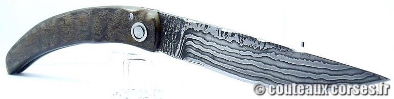 curnicciolu-damas-et-corne-de-belier-CXWP519-padovani-1128