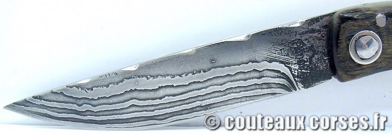couteau corse curnicciolu damas et corne de belier curnicciolu-damas-et-corne-de-belier-CXWP519-padovani-15