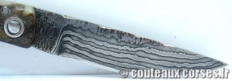 curnicciolu-damas-et-corne-de-belier-CXWP519-padovani-11