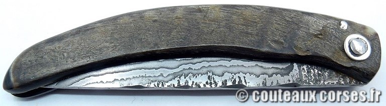 curnicciolu-damas-et-corne-de-belier-CXWP519-padovani-12