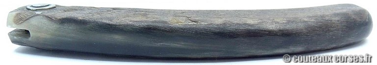 curnicciolu-damas-et-corne-de-belier-CXWP519-padovani-12