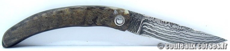 curnicciolu-damas-et-corne-de-belier-CXWP519-padovani-18