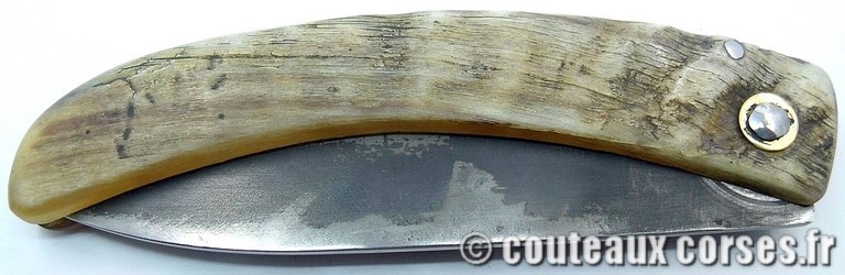 couteau corse curnicciolu Padovani u1 SLMFD9518