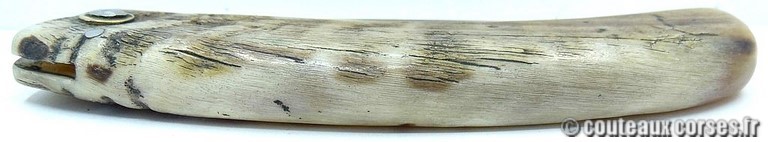 couteau corse curnicciolu Padovani 48 SLMFD9513