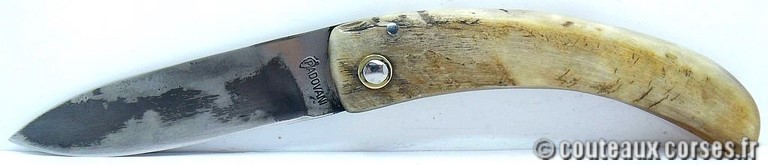 couteau corse curnicciolu Padovani u3 SLMFD9515