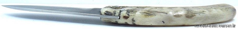 couteau corse curnicciolu Padovani u7 SLMFD9517