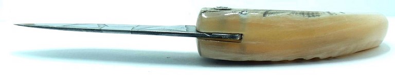 curnicciolu-sgaurdu-manu-padovani-DFR874-c7