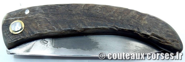 couteau corse curnicciolu Padovani u3 couteau-corse-curnicciolu-padovani-FGHSQ854-91