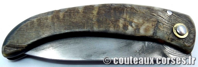 couteau corse curnicciolu Padovani u3 couteau-corse-curnicciolu-padovani-FGHSQ854-8
