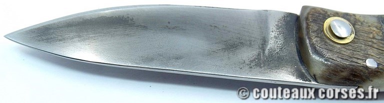 couteau corse curnicciolu Padovani u7 couteau-corse-curnicciolu-padovani-FGHSQ854-8