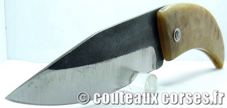 curnicciolu-corne-bélier-ska-DGTRP805-1