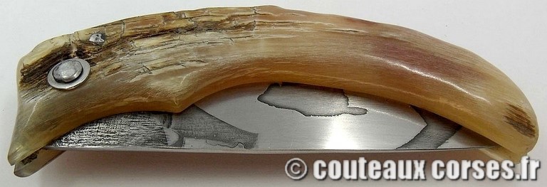 couteaux-corses-manu-padovani-p-1