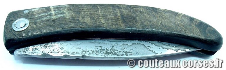 curnicciolu-damas-et-corne-de-belier-PMMLKR745-padovani-3