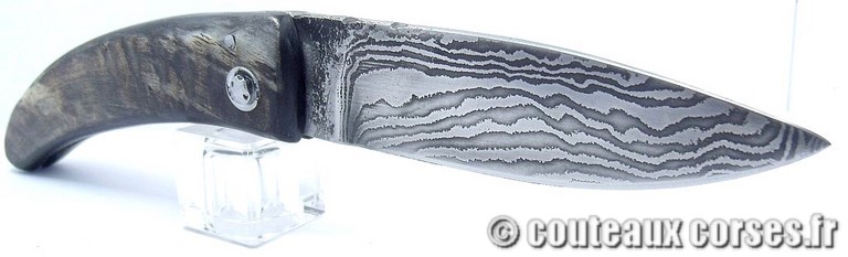 curnicciolu-damas-et-corne-de-belier-PMMLKR745-padovani-1128