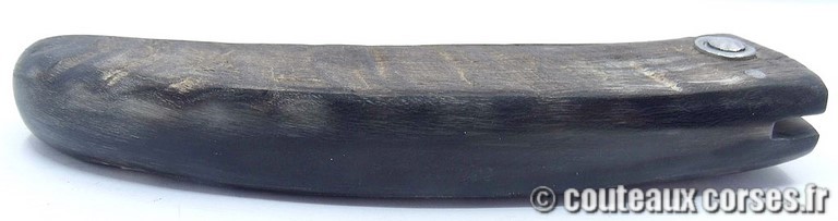 curnicciolu-damas-et-corne-de-belier-PMMLKR745-padovani-12