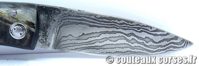 curnicciolu-damas-et-corne-de-belier-PMMLKR745-padovani-11