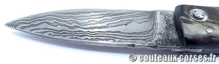 Curnicciolu corne de belier et damas king size M Padovani curnicciolu-damas-et-corne-de-belier-PMMLKR745-padovani-189