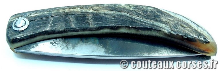 couteau corse curnicciolu Padovani u3 couteau-corse-curnicciolu-padovani-FGDSPN555-91
