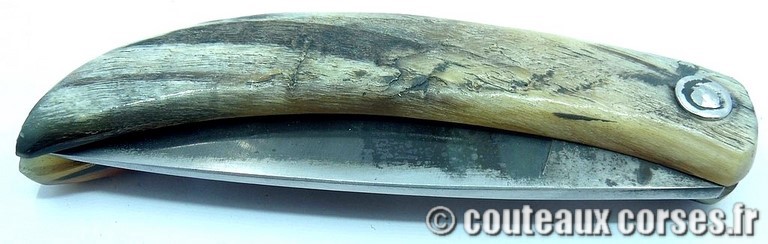 couteau corse curnicciolu Padovani u3 couteau-corse-curnicciolu-padovani-FGDSPN555-8