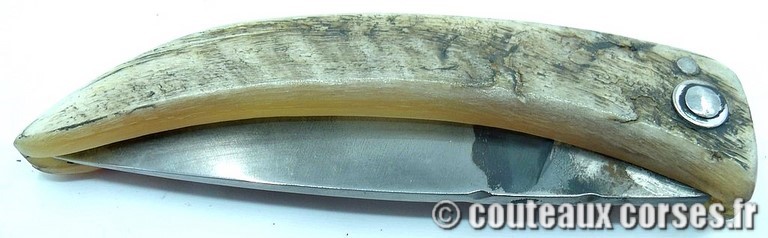 couteau corse curnicciolu Padovani u3 couteau-corse-curnicciolu-padovani-MTTYSD996-8