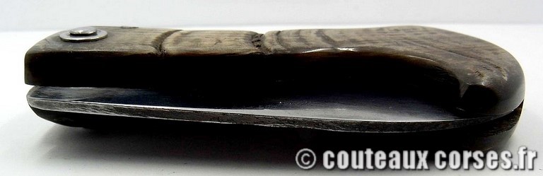 curnicciolu_corne_bouc_2-Padovani_2_1_3