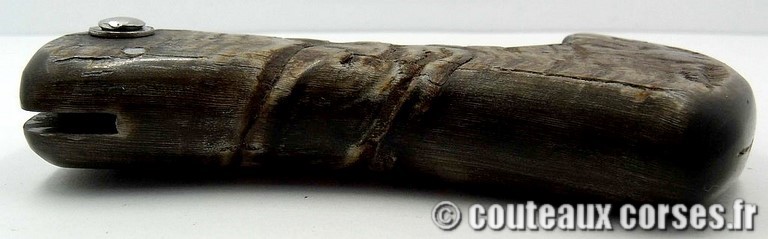curnicciolu_corne_bouc_2-Padovani_2_1_4