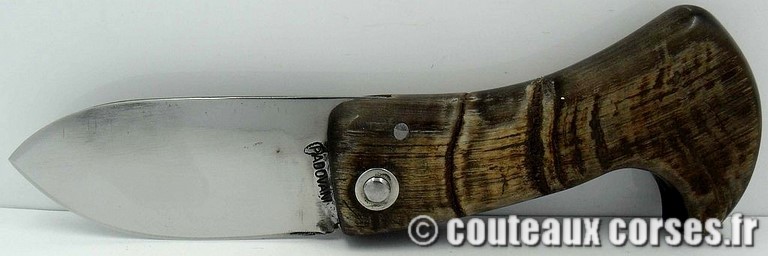 curnicciolu_corne_bouc_2-Padovani_2_1_2_1_2