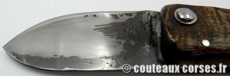 curnicciolu_corne_bouc_2-Padovani_2_1_8