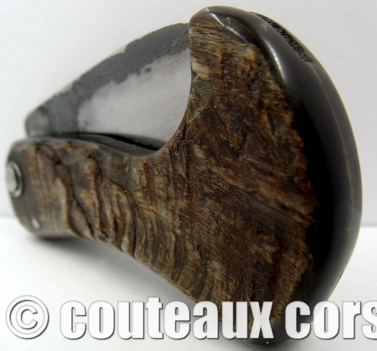 curnicciolu_corne_bouc_2-Padovani_2_1_9