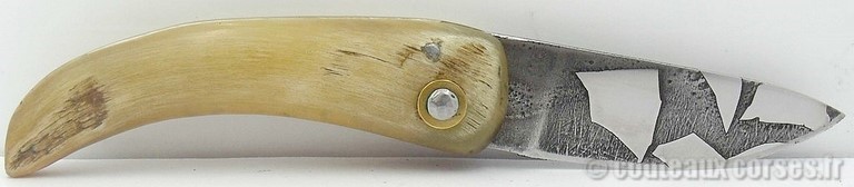 curnicciolu-sgaurdu-manu-padovani-d6