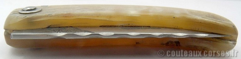 curnicciolu-sgaurdu-manu-padovani-e4