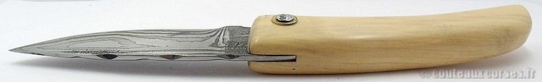 couteau-corse-damas-et-buis-manu-padovani-9-2