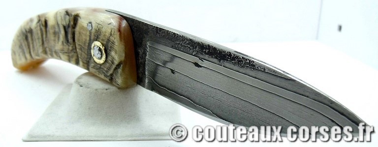 curnicciolu-damas-et-corne-de-belier-ks-05-padovani-au1-198