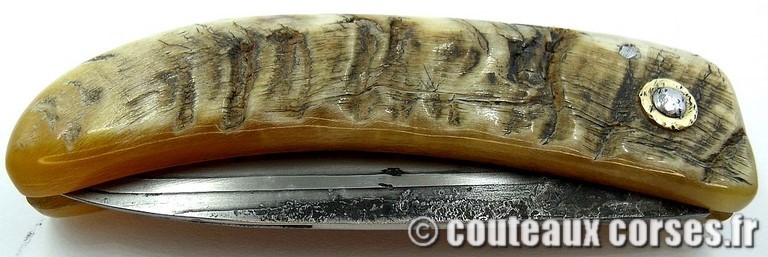 curnicciolu-damas-et-corne-de-belier-ks-05-padovani-au1-2
