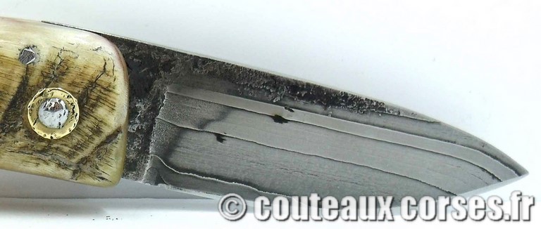 curnicciolu-damas-et-corne-de-belier-ks-05-padovani-au1-1