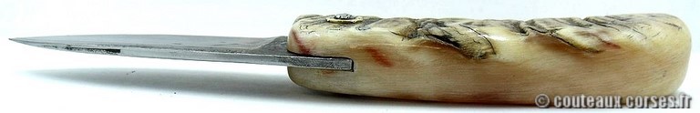 curnicciolu-damas-et-corne-de-belier-ks-05-padovani-au1-4