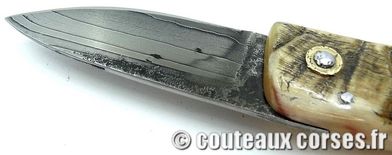 curnicciolu-damas-et-corne-de-belier-ks-05-padovani-au1-89