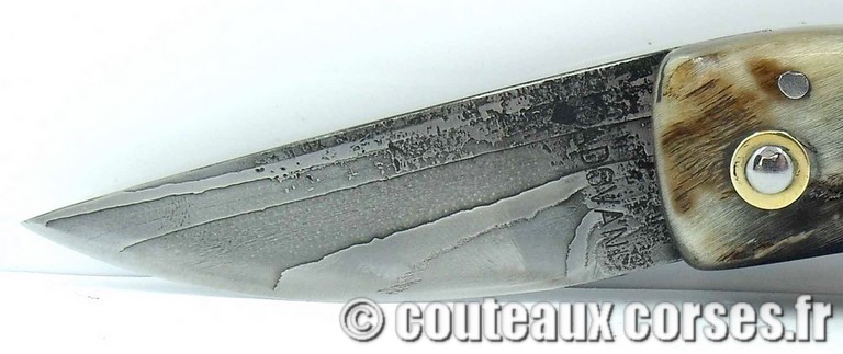 couteau corse curnicciolu damas et corne de belier curnicciolu-damas-et-corne-de-chevre-padovani-l1-5-8