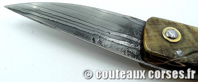 curnicciolu-damas-et-corne-de-chevre-padovani-l-89