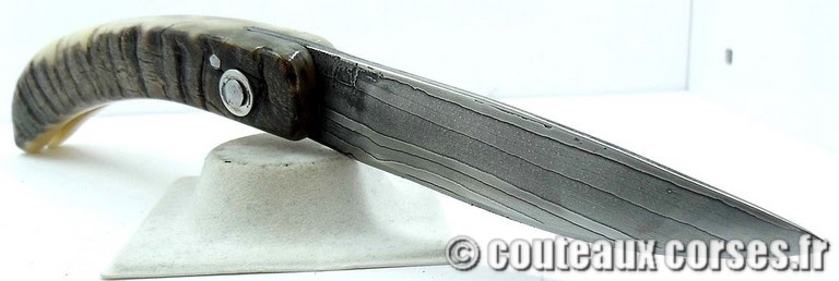 curnicciolu-damas-et-corne-de-belier-ks-05-padovani-av1-198