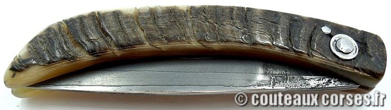 curnicciolu-damas-et-corne-de-belier-ks-05-padovani-av1-2