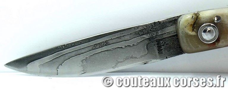 couteau corse curnicciolu damas et corne de belier curnicciolu-damas-et-corne-de-belier-ks-05-padovani-av1-8