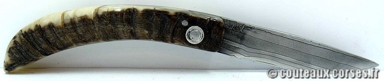 curnicciolu-damas-et-corne-de-belier-ks-05-padovani-av1-8