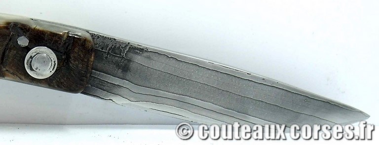 curnicciolu-damas-et-corne-de-belier-ks-05-padovani-av1-1