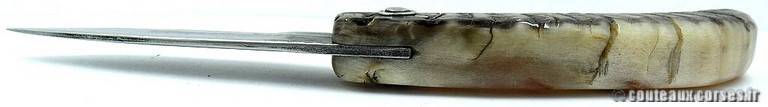 curnicciolu-damas-et-corne-de-belier-ks-05-padovani-av1-4