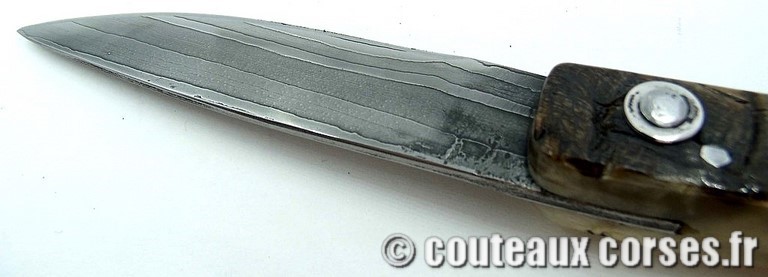curnicciolu-damas-et-corne-de-belier-ks-05-padovani-av1-89
