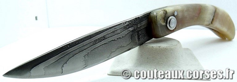 curnicciolu-damas-et-corne-de-belier-ks-05-padovani-av1-3