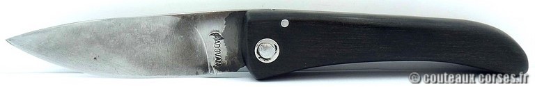 couteaux corses padovani cultella corsa bois et carbone couteau-corse-curnicciolu-QUIN875-padovani-2.jpg